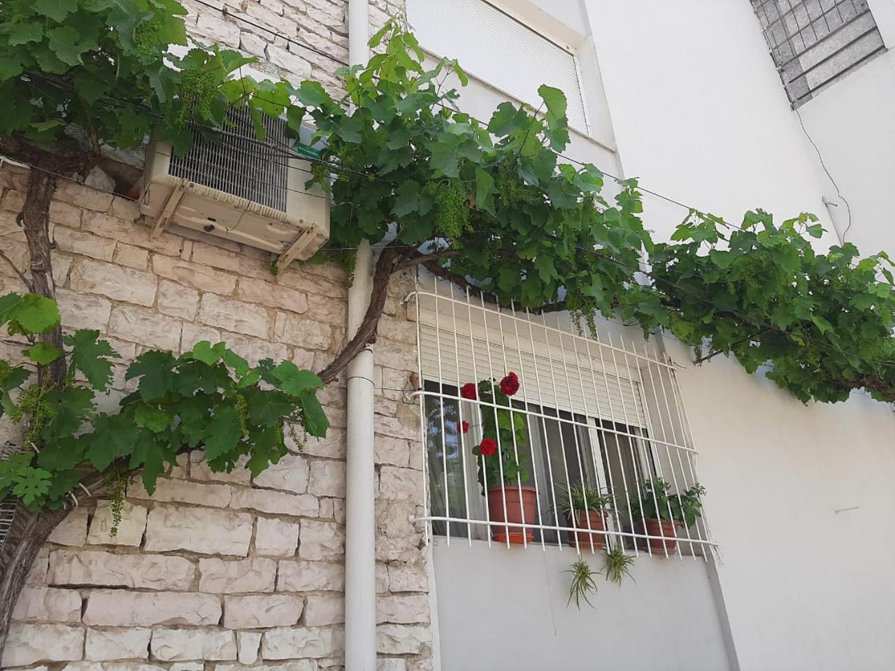 Sofia'S Modern Apartment Gjirokastër Extérieur photo